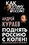 Поднять Россию с колен! Записки православного миссионера — 2404783 — 1