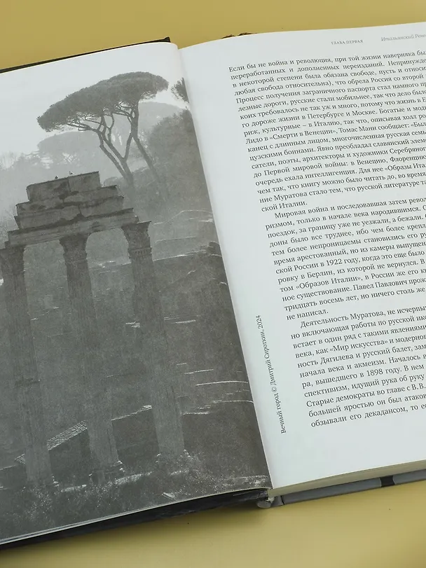 Книга Ипполитов. Последняя книга. Не только Италия (Аркадий Ипполитов) — 14