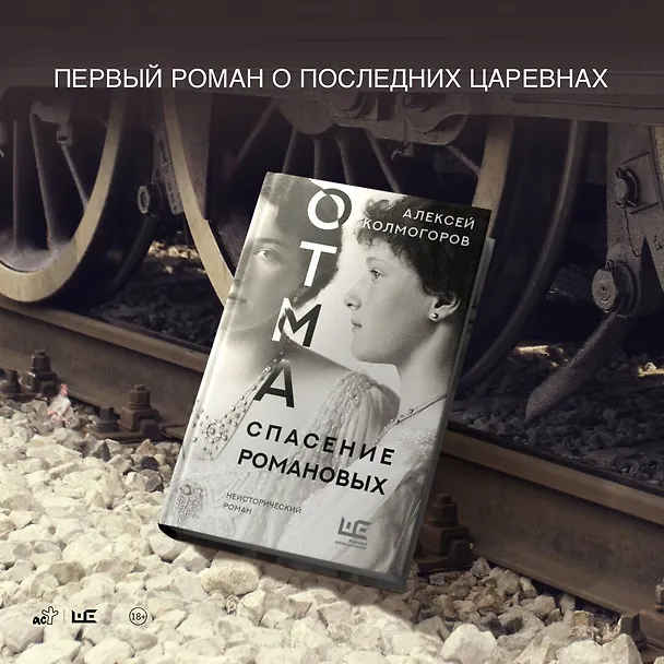 Книга ОТМА. Спасение Романовых (Алексей Колмогоров) — 6