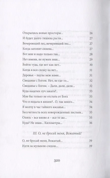 Книга Нескончаемая встреча () — 4