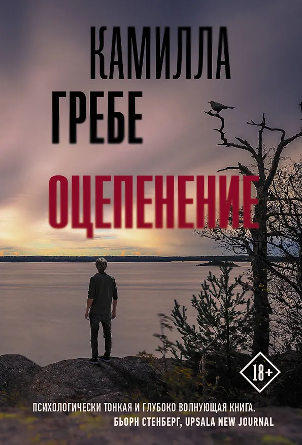 Книга Оцепенение (Камилла Гребе) — 1