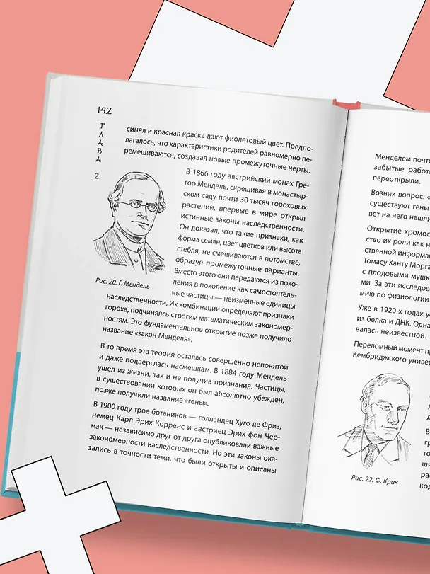Книга Удивительное тело. Почему наше тело самое нелепое и гениальное создание природы (Такэхито Ямамото) — 13