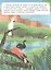 Звери и не только: книжка с наклейками — 2848292 — 3