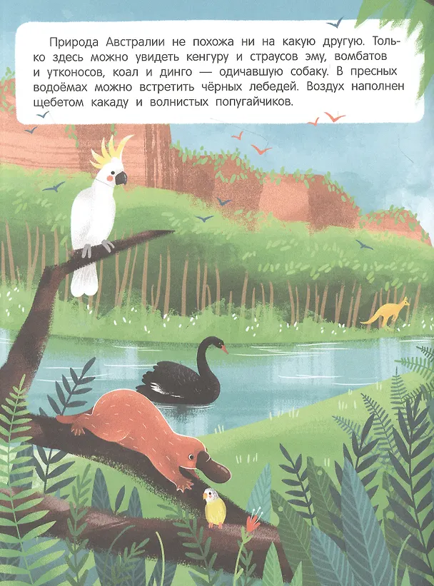 Книга Звери и не только: книжка с наклейками () — 3