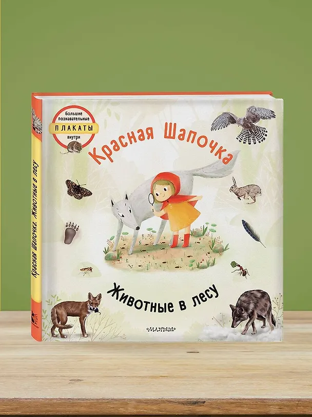 Книга Красная шапочка (Яна Седлачкова) — 5