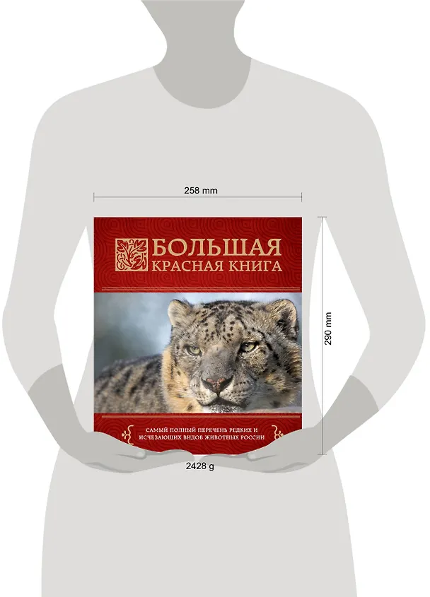 Книга Большая красная книга (Оксана Скалдина) — 5