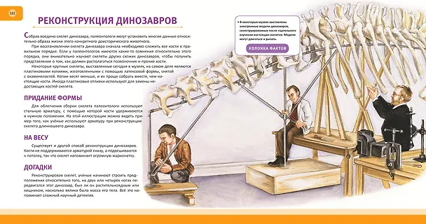 Книга Динозавры. Полная энциклопедия (Тамара Грин) — 14