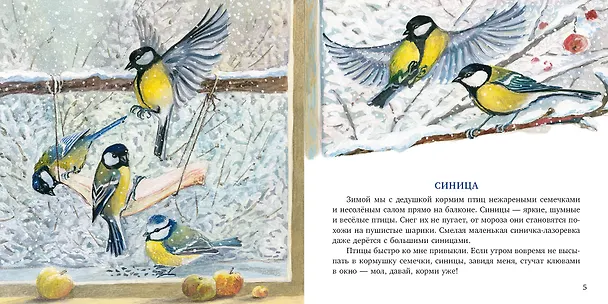 Книга Птицы за окном. Сборник рассказов () — 2
