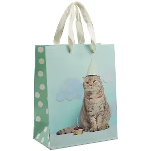 Пакет А5 23*18*10 "Cat.Basic" нейтр., бум.мат.ламинат