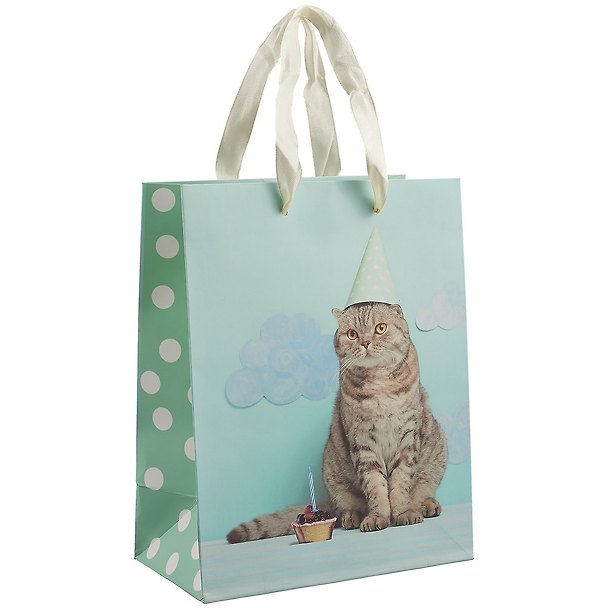 Пакет А5 23*18*10 "Cat.Basic" нейтр., бум.мат.ламинат 261962 — 1