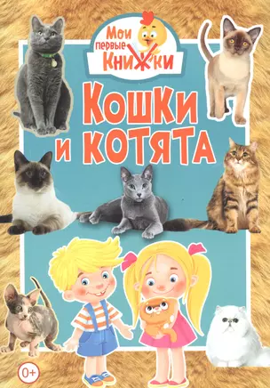 Кошки и котята — 2740785 — 1