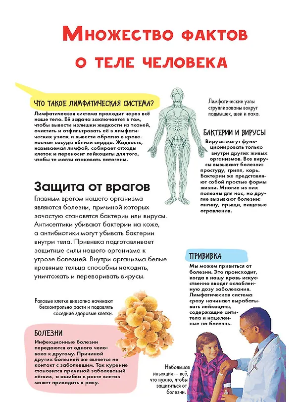 Книга Тело человека (Энн МакРей) — 5