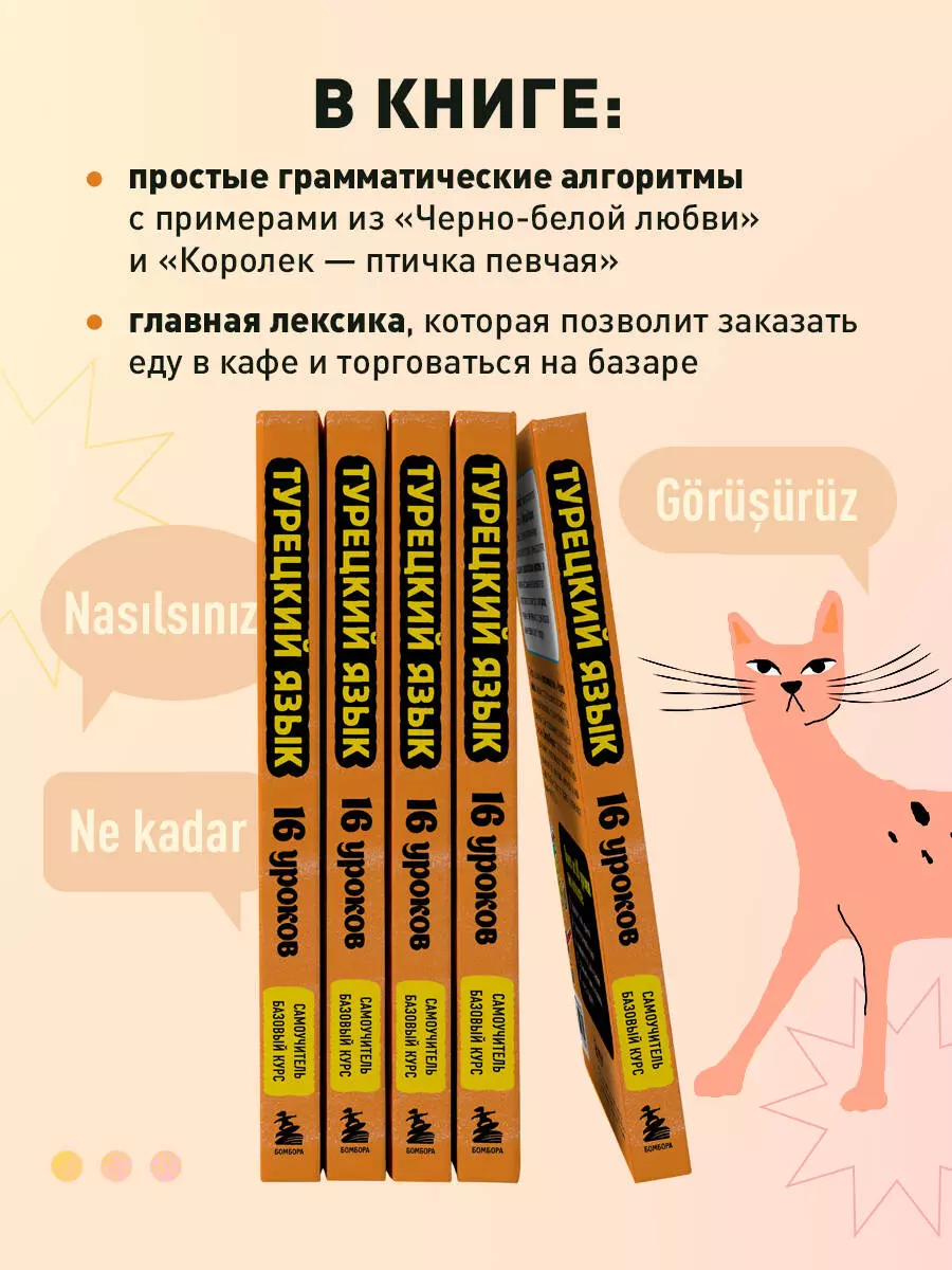 Турецкий язык. 16 уроков. Базовый курс (Дмитрий Петров) - купить книгу с  доставкой в интернет-магазине «Читай-город». ISBN: 978-5-04-194651-7