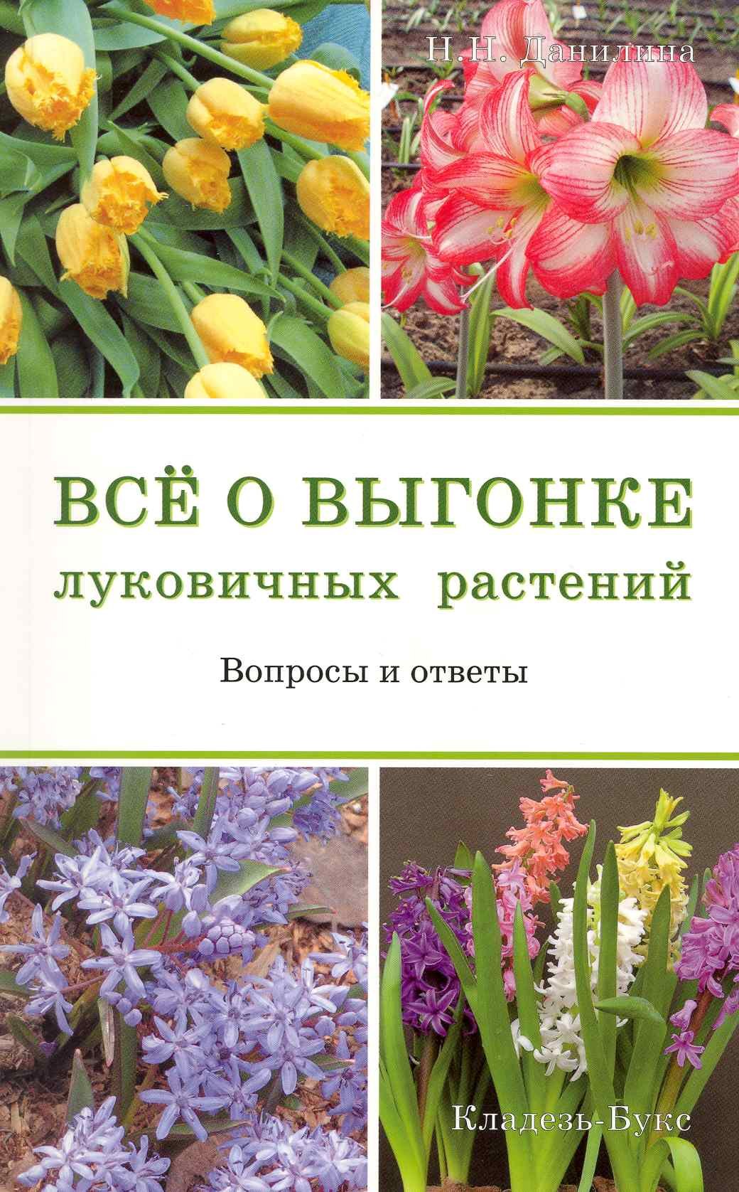 

Все о выгонке луковичных растений. Вопросы и ответы