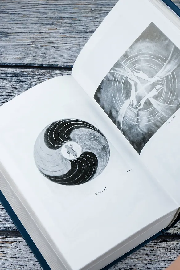Книга Архетипы и коллективное бессознательное (Карл Юнг) — 14