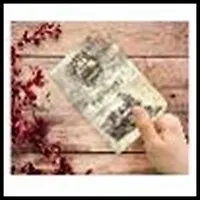 Феникс Презент Обложка для паспорта ПВХ 13,3*19,1см 29060