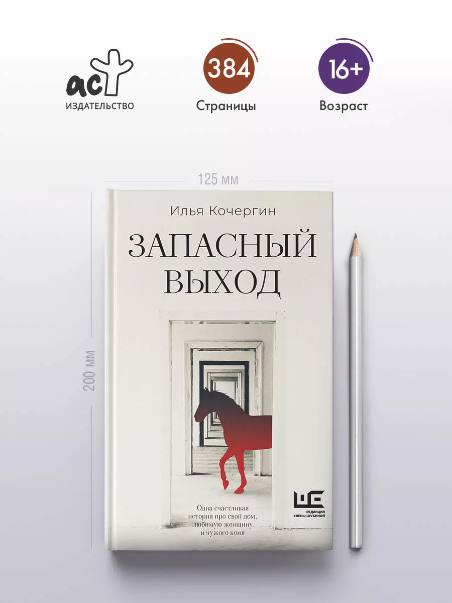 Запасный выход (Илья Кочергин) - купить книгу с доставкой в  интернет-магазине «Читай-город». ISBN: 978-5-17-165507-5