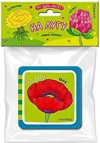Мини-книжки ЭВА. Что здесь растёт? На лугу