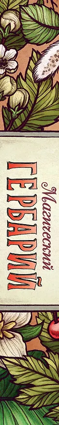 Книга Магический гербарий. 36 карт с посланиями от волшебных растений (Оракул. 36 карт и руководство в коробке) (М. Толл) — 5