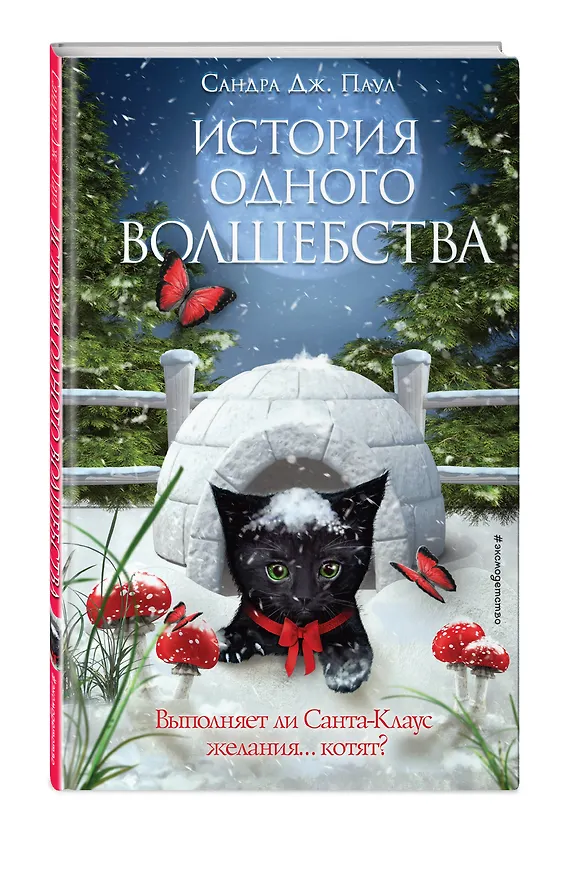 Книга История одного волшебства (Сандра Дж. Паул) — 5