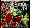Комнатные растения: Самые любимые