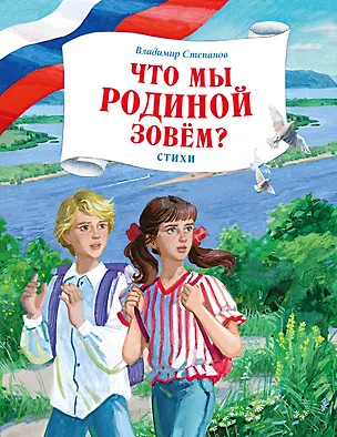 Книга Что мы Родиной зовем? Стихи (Владимир Степанов)