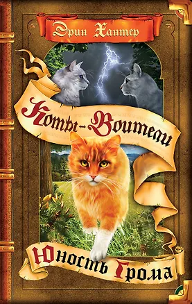 Книга Юность Грома (Эрин Хантер)