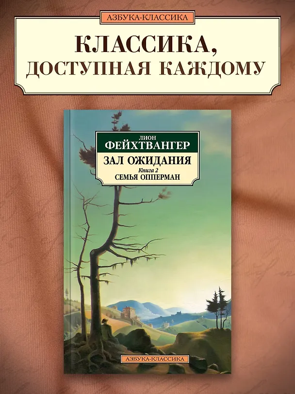 Книга Зал ожидания. Книга 2. Семья Опперман (Лион Фейхтвангер) — 5