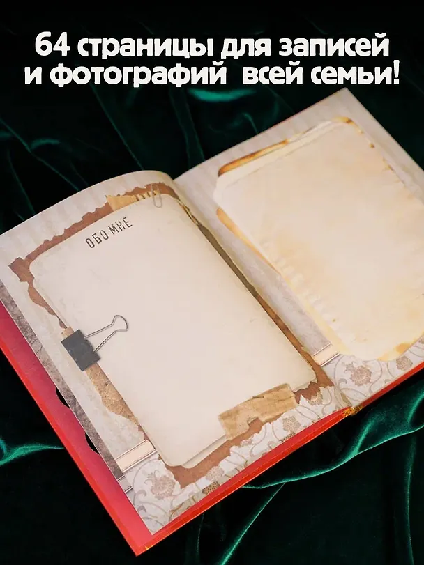 Книга Родословная нашей семьи (Валентина Дмитриева) — 7