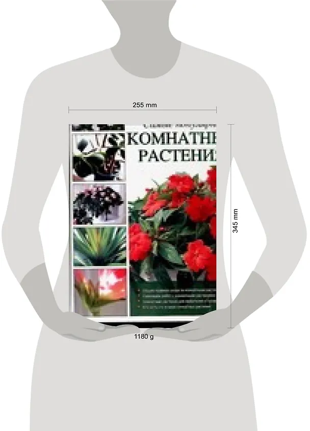Книга Самые популярные комнатные растения: Новейшая энциклопедия (Ольга Петина) — 2