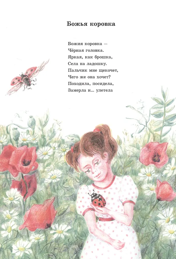 Книга Эти милые букашки (Вадим Жижанов) — 5