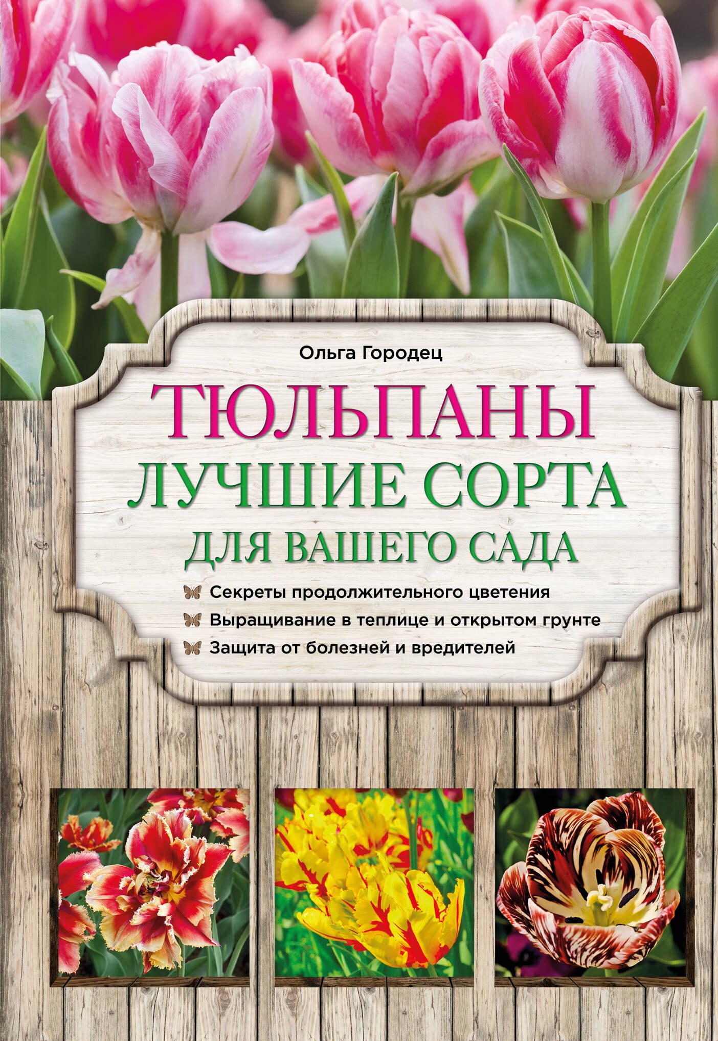 

Тюльпаны: лучшие сорта для вашего сада