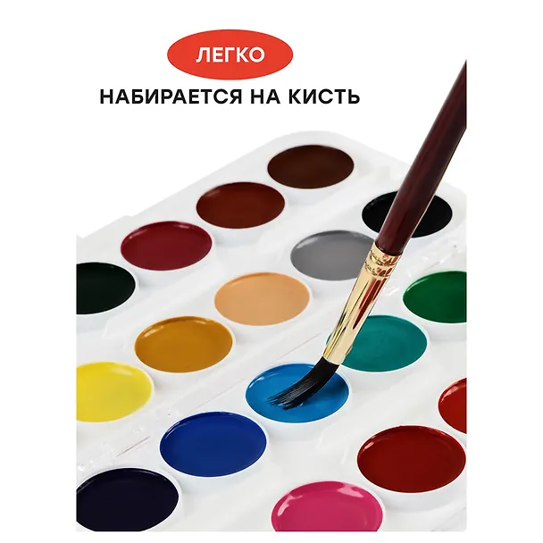Акварельные краски Гамма, "Мультики", 24 цвета 351522 — 4