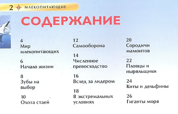 Книга Млекопитающие (Дэвид Берни) — 2