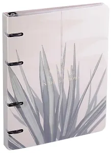 Тетрадь на кольцах в клетку Be Smart, "Nude. Пальма", 120 листов