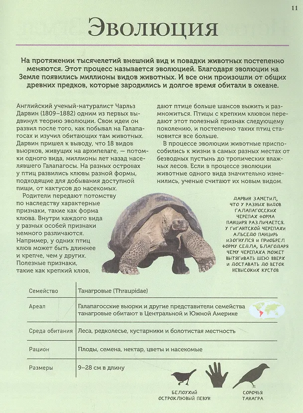 Книга Животные. Современная энциклопедия (Клаудия Мартин) — 5