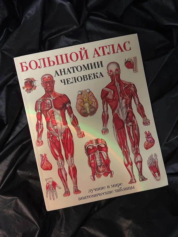 Книга Большой атлас анатомии человека(в табл) () — 6