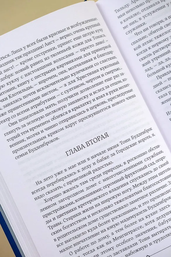 Книга Будденброки (Томас Манн) — 12