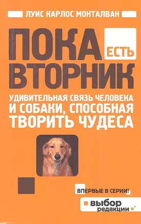 Пока есть Вторник. Удивительная связь человека и собаки, способная творить чудеса — 2360915 — 1