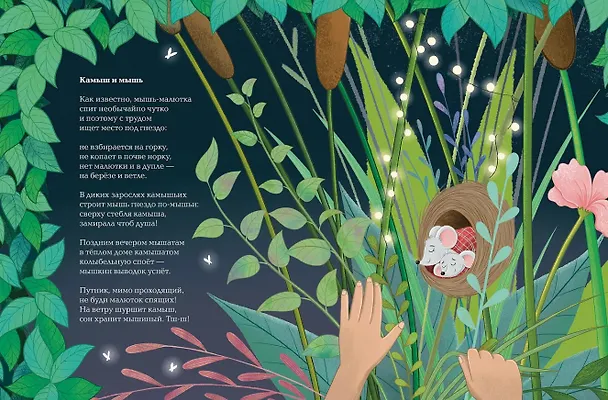 Книга Насекомыши. Стихи про насекомых и мышей (Ксения Коскина) — 4