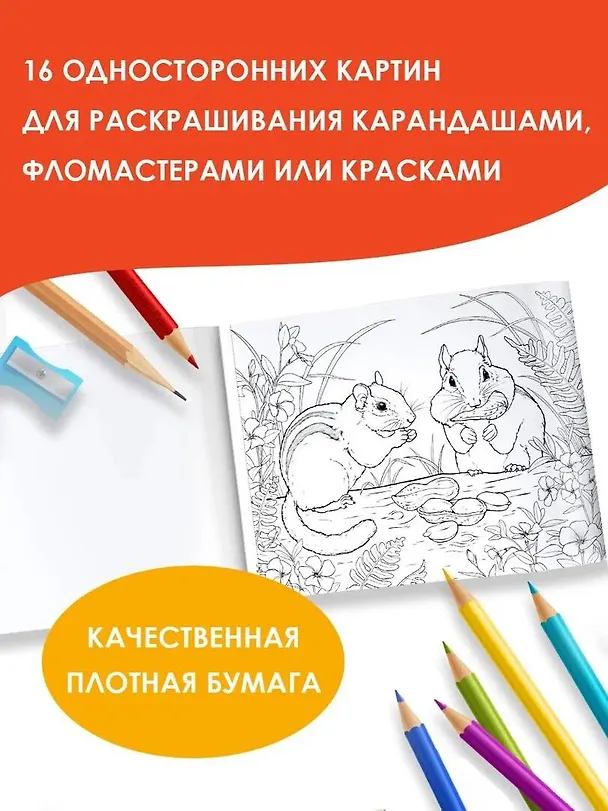 Книга Мир вокруг. Альбом для раскрашивания () — 5