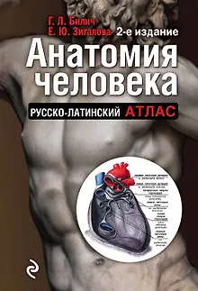Анатомия человека:рус-лат.атл.2-е изд