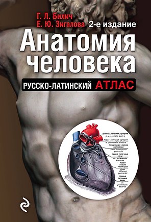 Анатомия человека:рус-лат.атл.2-е изд
