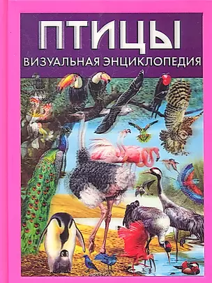 Птицы. Визуальная энциклопедия — 2293152 — 1