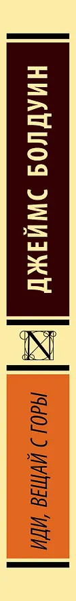 Книга Иди, вещай с горы (Джеймс Артур Болдуин) — 3