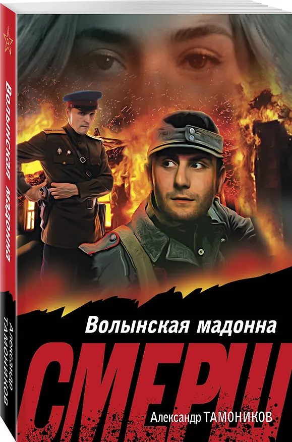 Книга Волынская мадонна (Александр Тамоников) — 4