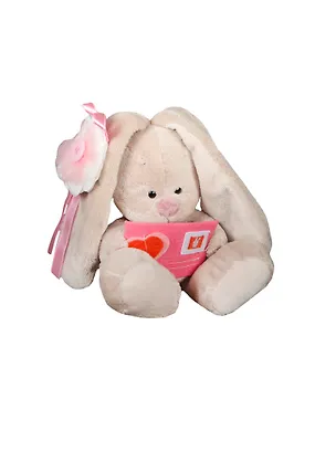 Мягкая игрушка Зайка Ми с конвертом (15 см) (SidXt21) 2369085