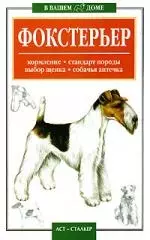 Фокстерьер: Кормление, стандарт породы, выбор щенка, собачья аптека — 2083045 — 1