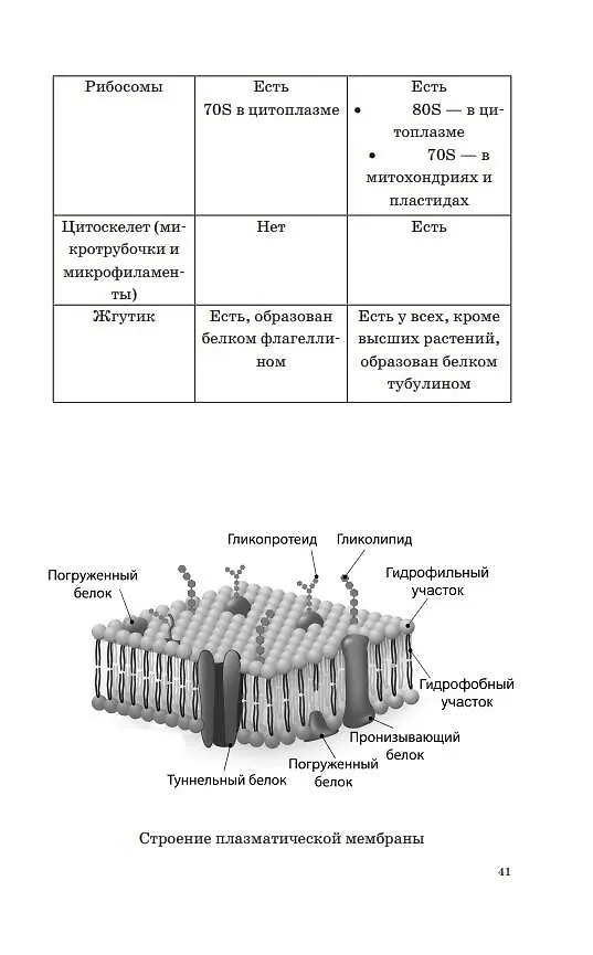 Книга ОГЭ. Биология. Новый полный справочник для подготовки к ОГЭ (Андрей Маталин) — 11