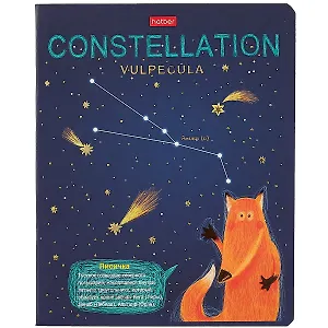 Тетрадь в клетку Hatber, "Приходи считать звезды", 48 листов, в ассортименте